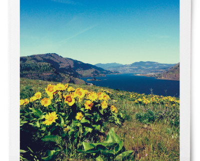 Mosier Plateau - Trail of the Month