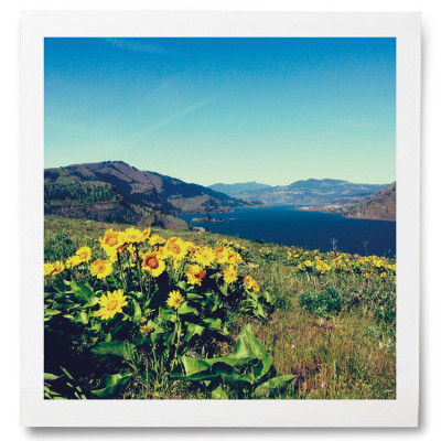 Mosier Plateau - Trail of the Month
